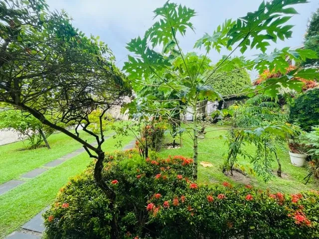Imagem 14: 0 Apartamento com 5 dormitórios