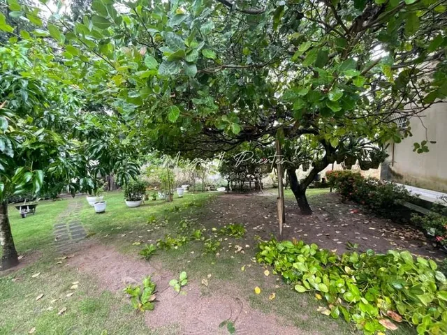Imagem 4: 0 Apartamento com 5 dormitórios