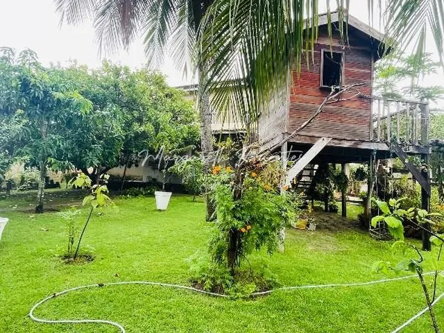 Imagem 11: 0 Apartamento com 5 dormitórios