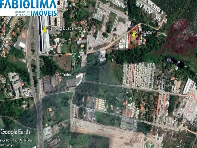 Imagem: Terreno a Venda em Abrantes