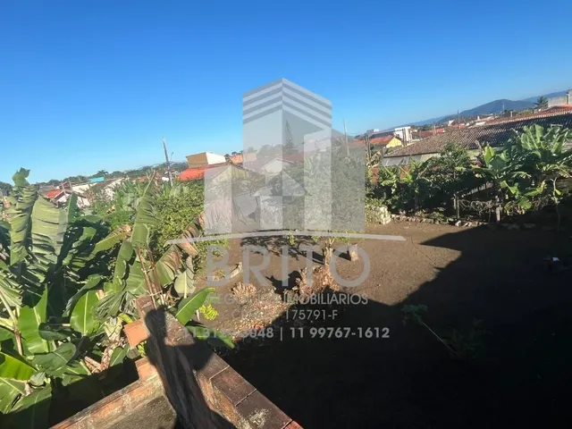 Imagem: