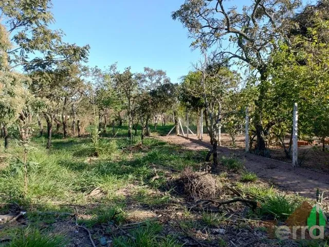 Imagem: Excelente Terreno para Venda Planalto da