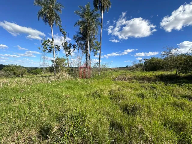 Imagem: Chácara de 20.000 M² À Venda em Umuarama-Pr