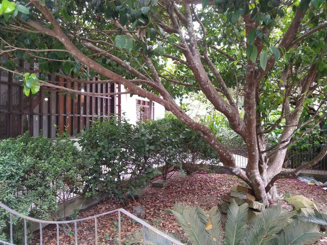 Imagem 4: Casa com 5 Quartos a Venda no Bairro Aleixo Manaus