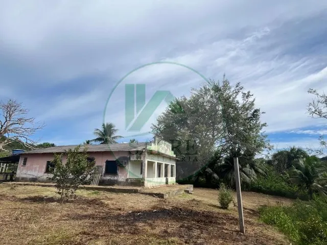 Imagem 4: Sítio À Venda em Presidente Figueiredo-Am