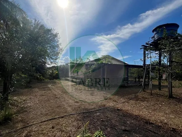 Imagem 15: Sítio À Venda em Presidente Figueiredo-Am