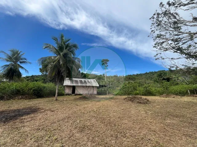 Imagem 5: Sítio À Venda em Presidente Figueiredo-Am