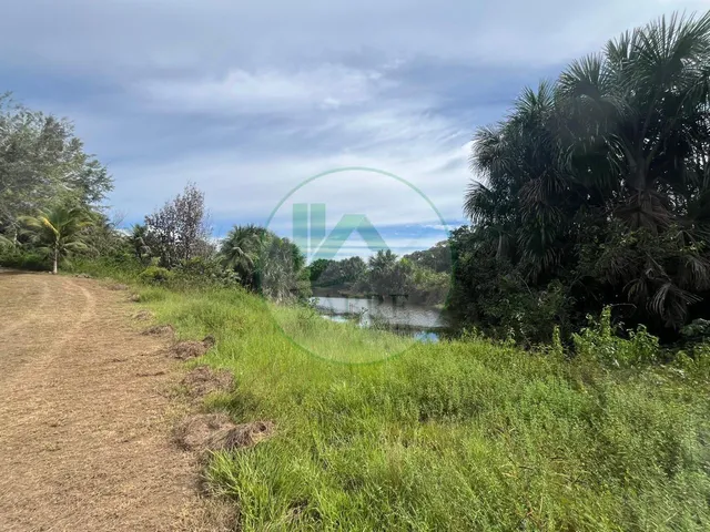Imagem 2: Sítio À Venda em Presidente Figueiredo-Am