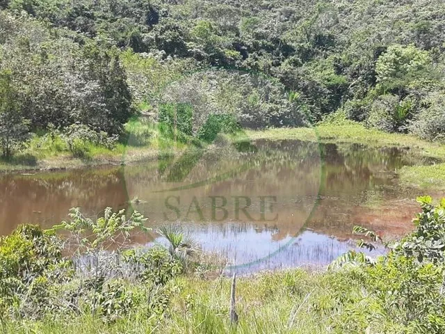 Imagem 14: Sítio À Venda em Presidente Figueiredo-Am