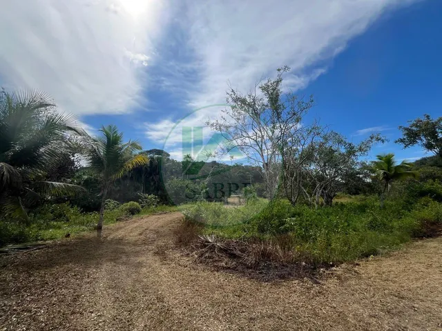 Imagem 6: Sítio À Venda em Presidente Figueiredo-Am