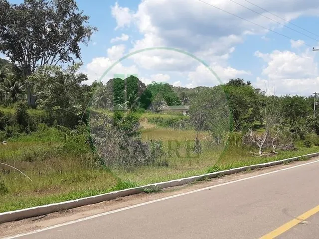 Imagem 8: Sítio À Venda em Presidente Figueiredo-Am