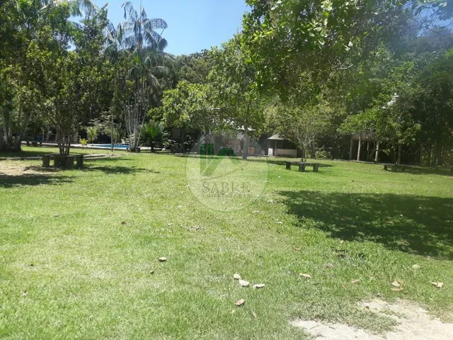 Imagem 10: Sítio À Venda em Presidente Figueiredo-Am