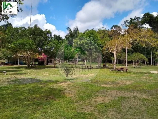 Imagem 9: Sítio À Venda em Presidente Figueiredo-Am