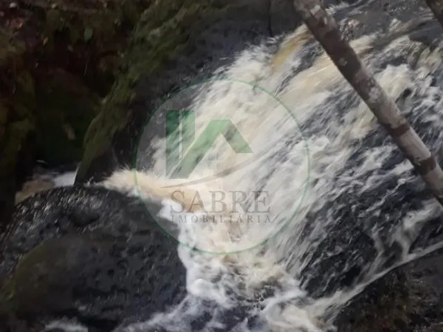 Imagem 14: Sítio À Venda em Presidente Figueiredo-Am