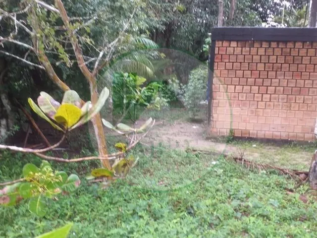 Imagem 4: Terreno a Venda no Bairro Tarumã, Manaus-Am
