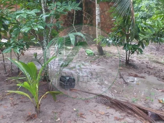 Imagem 8: Terreno a Venda no Bairro Tarumã, Manaus-Am