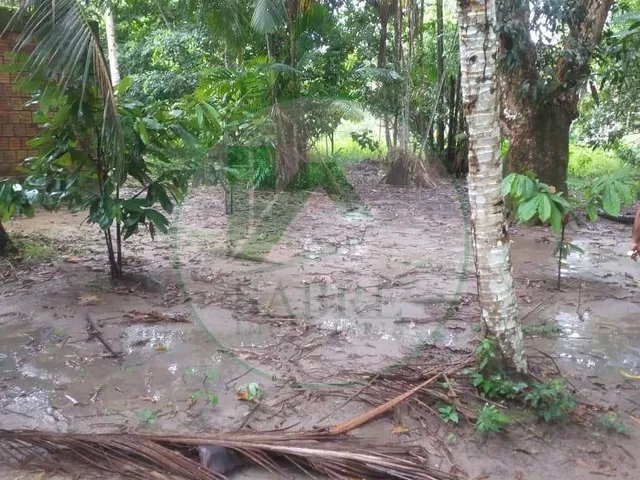 Imagem 12: Terreno a Venda no Bairro Tarumã, Manaus-Am