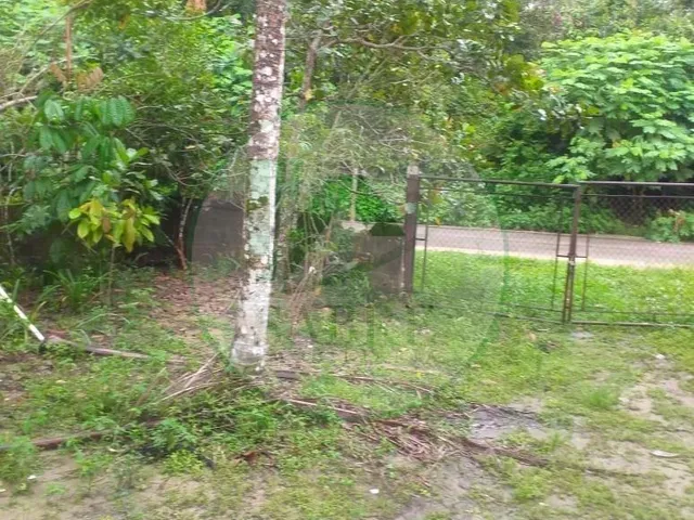 Imagem 13: Terreno a Venda no Bairro Tarumã, Manaus-Am
