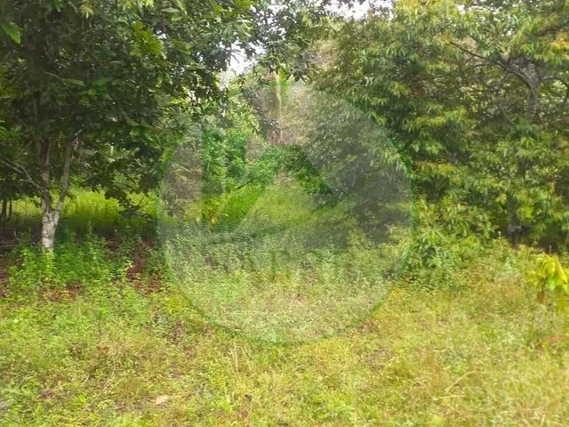Imagem 14: Terreno a Venda no Bairro Tarumã, Manaus-Am