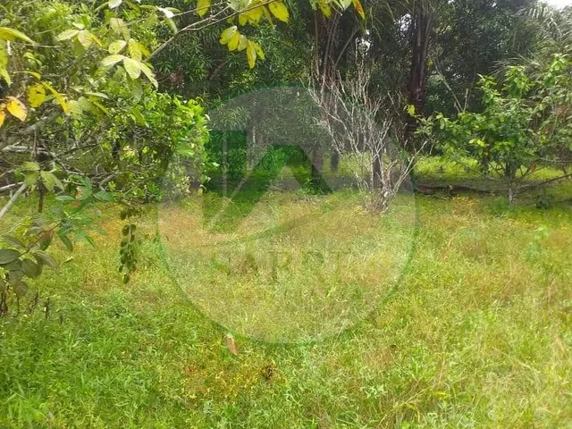 Imagem 6: Terreno a Venda no Bairro Tarumã, Manaus-Am