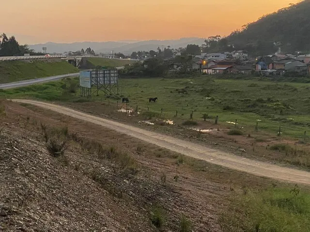 Imagem 2: Venda de Terreno a Margem da Br 470 em Gaspar
