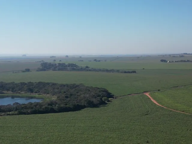 Imagem 8: 0 Fazenda / sítio com 3 dormitórios