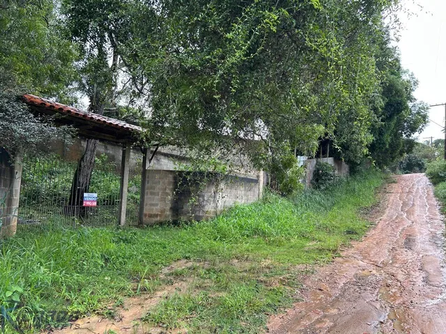 Imagem 5: 0 Chácara com 4 dormitórios