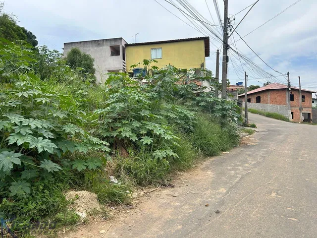 Imagem 3: 0 Terreno / lote com venda por R$230.000