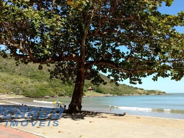 Imagem 8: Apartamento 4 Suítes À Venda de Frente Mar da Praia do Morro, Guarapari - Es