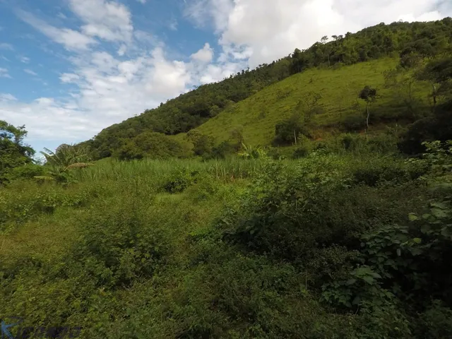 Imagem 16: Fazenda À Venda com 43 Alqueires, Iguape - Guarapari Es