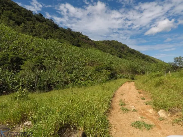 Imagem 9: Fazenda À Venda com 43 Alqueires, Iguape - Guarapari Es
