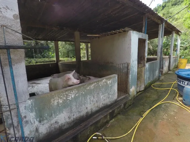 Imagem 6: Fazenda À Venda com 43 Alqueires, Iguape - Guarapari Es