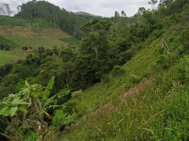 Imagem 3: Sítio / Chácara À Venda em Suído, Marechal Floriano com 2016 M²