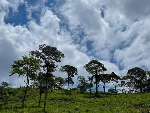 Imagem 9: Lote / Terreno de 2.400 M² À Venda Frente Pista na Rota da Ferradura, Buenos Aires, Guarapari Es