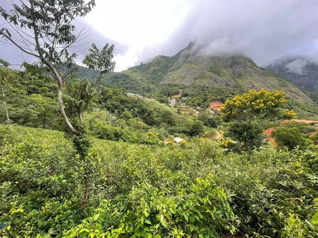 Imagem 9: 0 Terreno / lote com venda por R$590.000