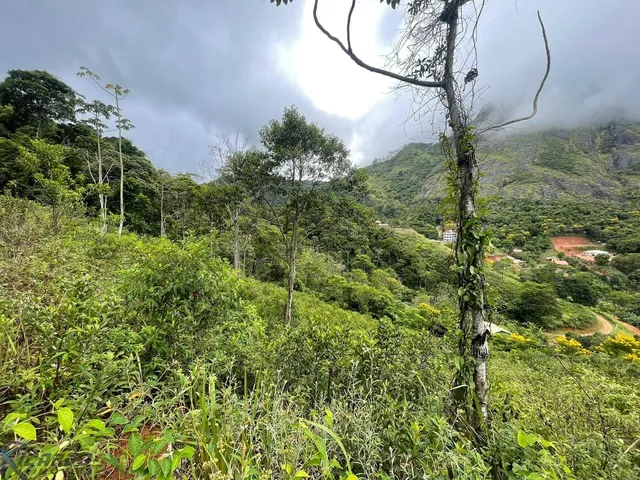 Imagem 8: 0 Terreno / lote com venda por R$590.000