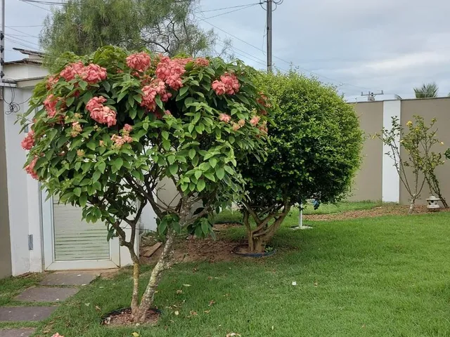 Imagem 5: Casa Duplex 4 Quartos com Alto Padrão na Enseada Azul Próximo a Praia da Bacutia e Peracanga
