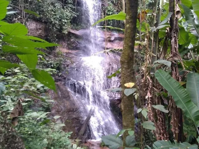 Imagem: Fazenda em Região Privilegiada! Verde