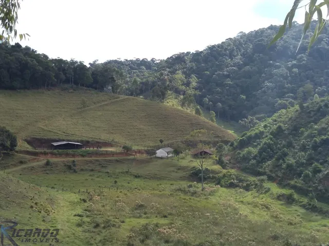Imagem 3: Fazenda em Região Privilegiada! Verde, Nascentes, Lago, Benfeitorias e Muito Mais! Aproveite!
