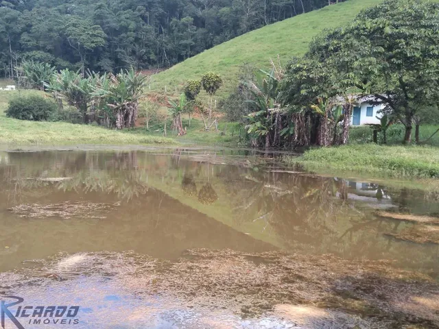 Imagem 12: Fazenda em Região Privilegiada! Verde, Nascentes, Lago, Benfeitorias e Muito Mais! Aproveite!