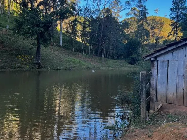Imagem 2: Fazenda em Região Privilegiada! Verde, Nascentes, Lago, Benfeitorias e Muito Mais! Aproveite!