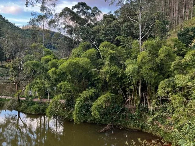 Imagem 4: Fazenda em Região Privilegiada! Verde, Nascentes, Lago, Benfeitorias e Muito Mais! Aproveite!