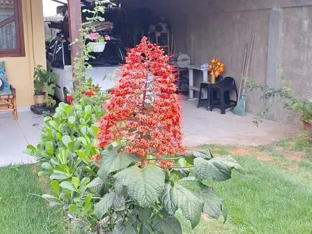 Imagem 16: Casa À Venda em Meaípe, Guarapari Es