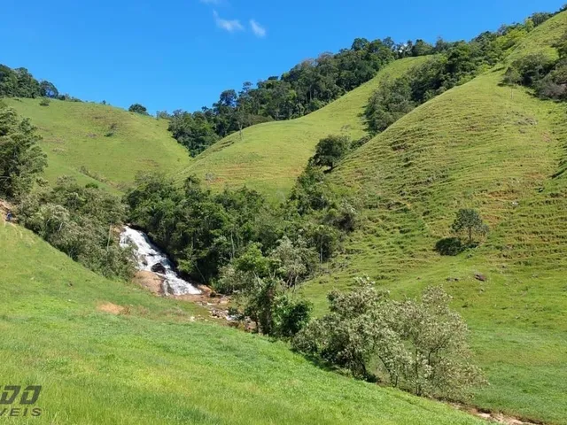 Imagem 3: 0 Fazenda / sítio com venda por R$7.000.000