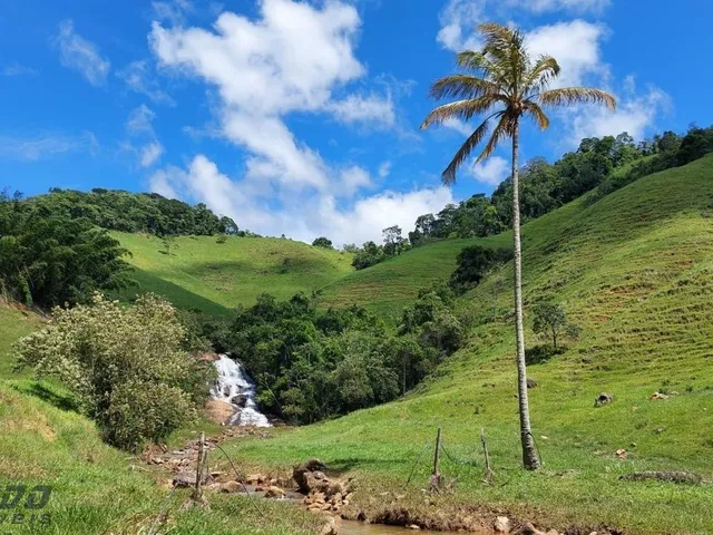 Imagem 4: 0 Fazenda / sítio com venda por R$7.000.000