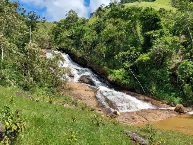 Imagem 6: 0 Fazenda / sítio com venda por R$7.000.000