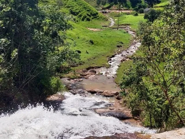 Imagem 5: 0 Fazenda / sítio com venda por R$7.000.000