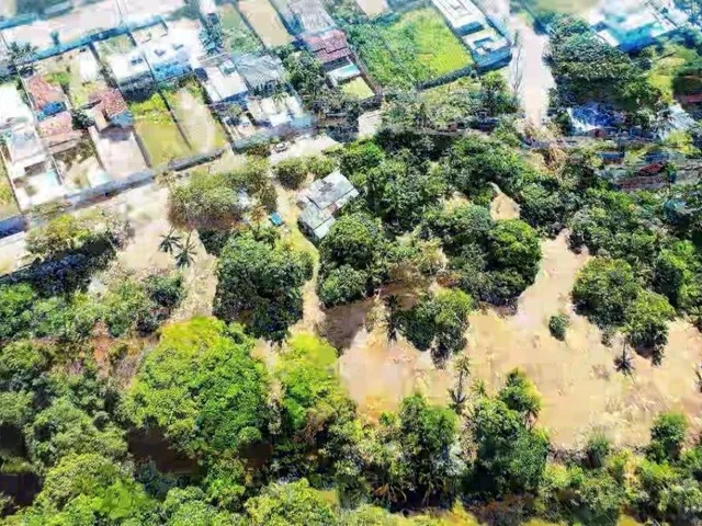 Imagem 3: Lote na Lagoa. 1.000M2