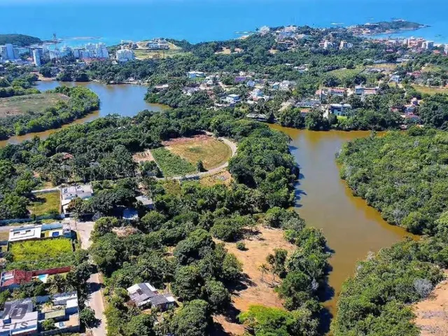 Imagem 5: Lote na Lagoa. 1.000M2