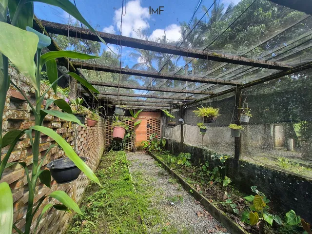 Imagem 8: Casa com Fundos para o Rio em Rodeio-Sc